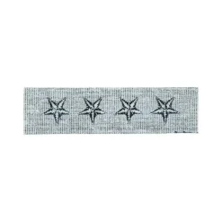 ASMC - Abzeichen US Textil 4-Sterne General