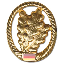 Bundeswehr Original - Abzeichen BW Barett JĂ€gertruppe
